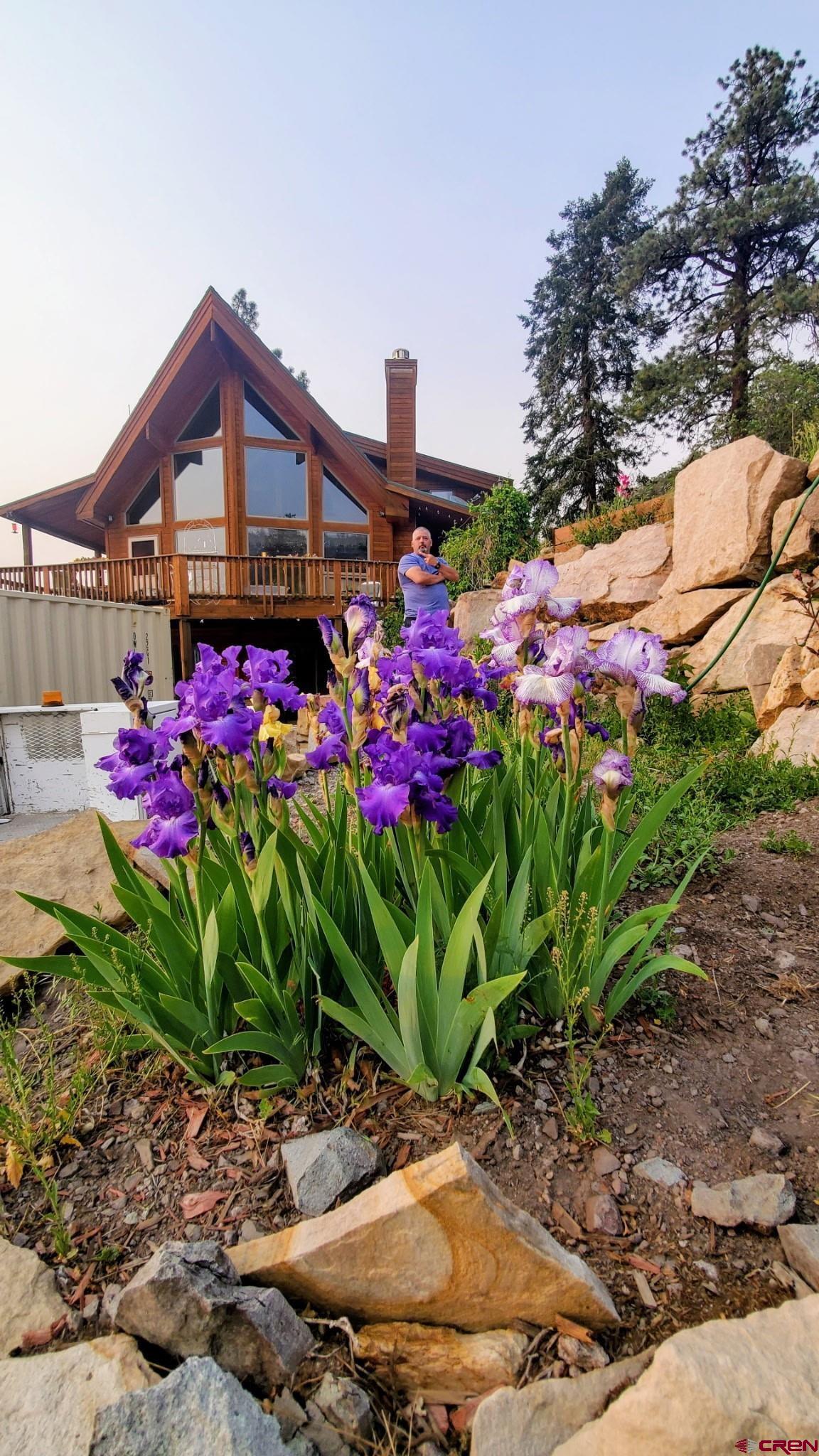 87 Which Way Ridgway, CO 81432 - Photo 35 of 45 a front view of house with yard