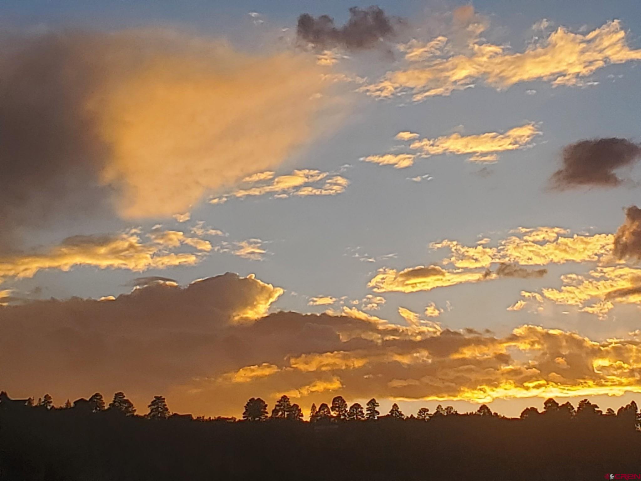 87 Which Way Ridgway, CO 81432 - Photo 6 of 45