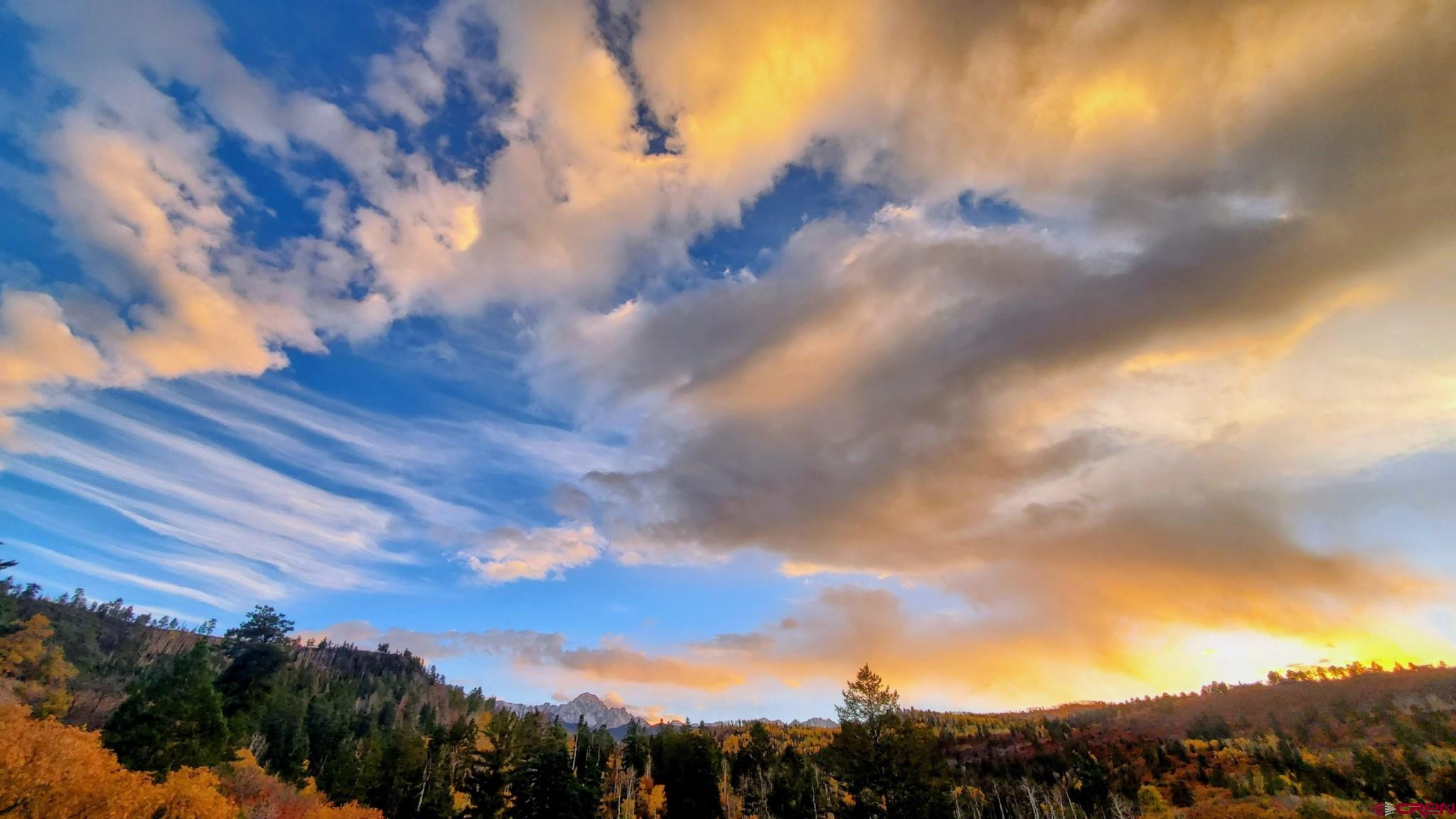 87 Which Way Ridgway, CO 81432 - Photo 8 of 45 a view of a city with lots of trees
