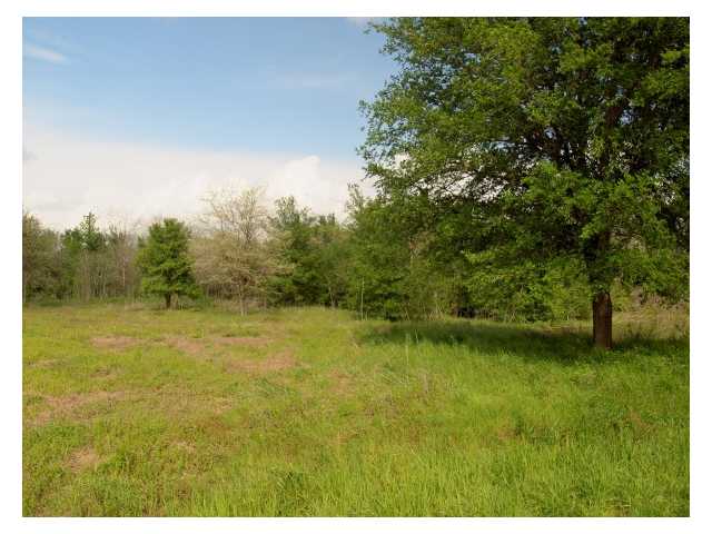 136 Lower Elgin Road Elgin, TX 78621 - Photo 1 of 1 a view of a yard with a tree