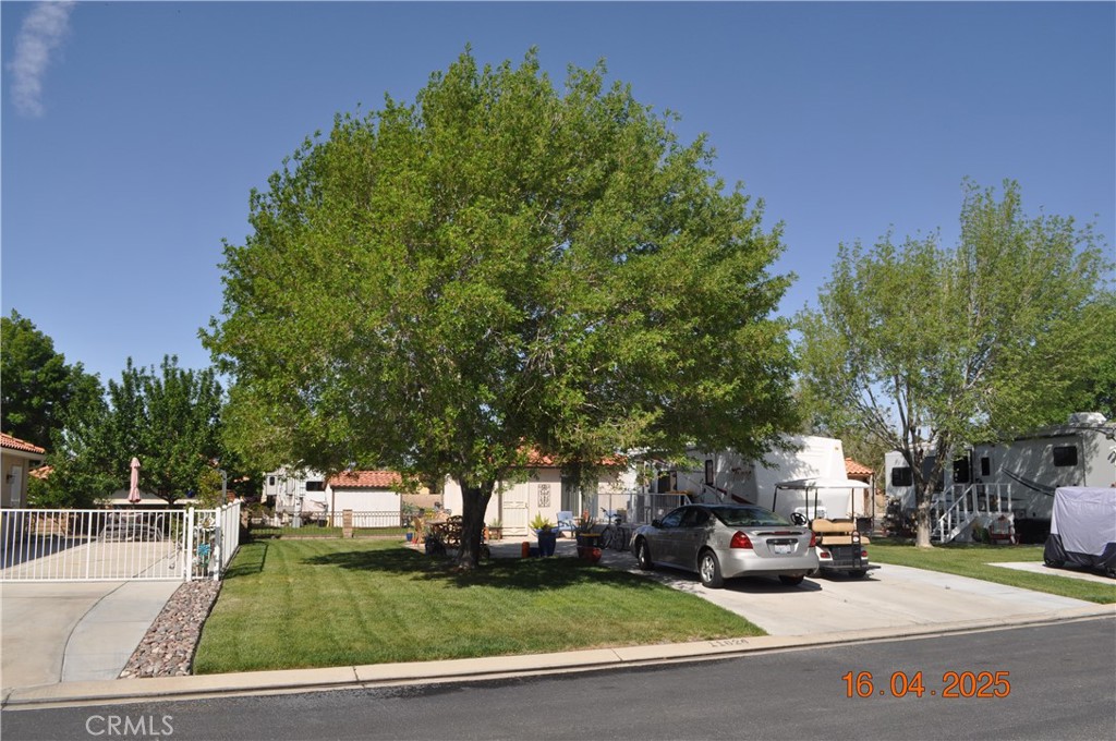 11624 Ridgemark Road Apple Valley, CA 92308 - Photo 3 of 37 Looking from Lt corner of the lot.
