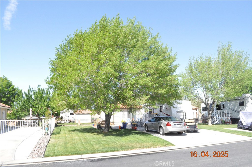 11624 Ridgemark Road Apple Valley, CA 92308 - Photo 4 of 37 Shade Tree, Shade Tree, Shade Tree.