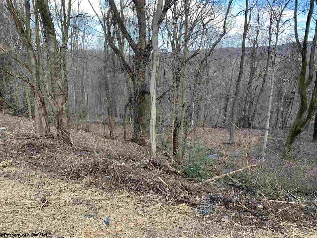 354 Tyrone Road Morgantown, WV 26508 - Photo 9 of 10 Gallery Image 9