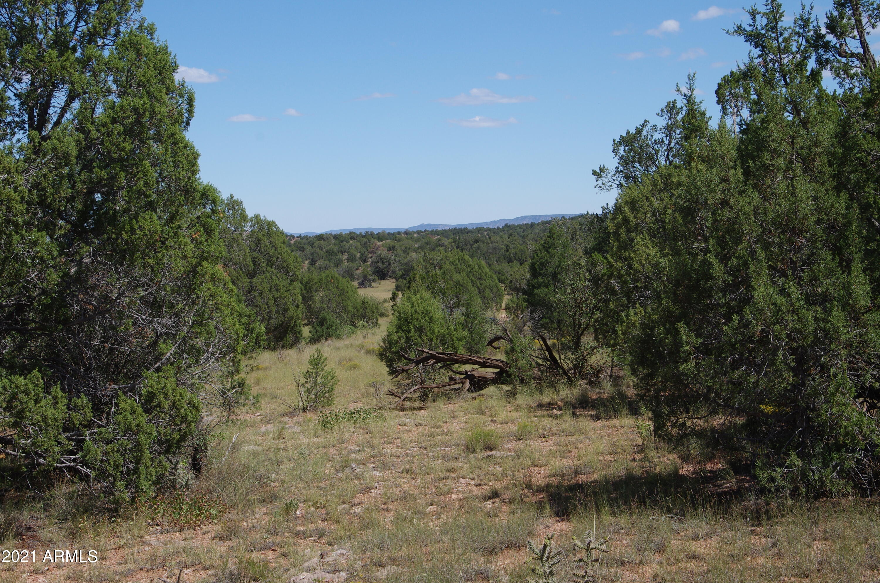 143 Antelope Run Road Seligman, AZ 86337 - Photo 12 of 36 143 Antelope Run RD
