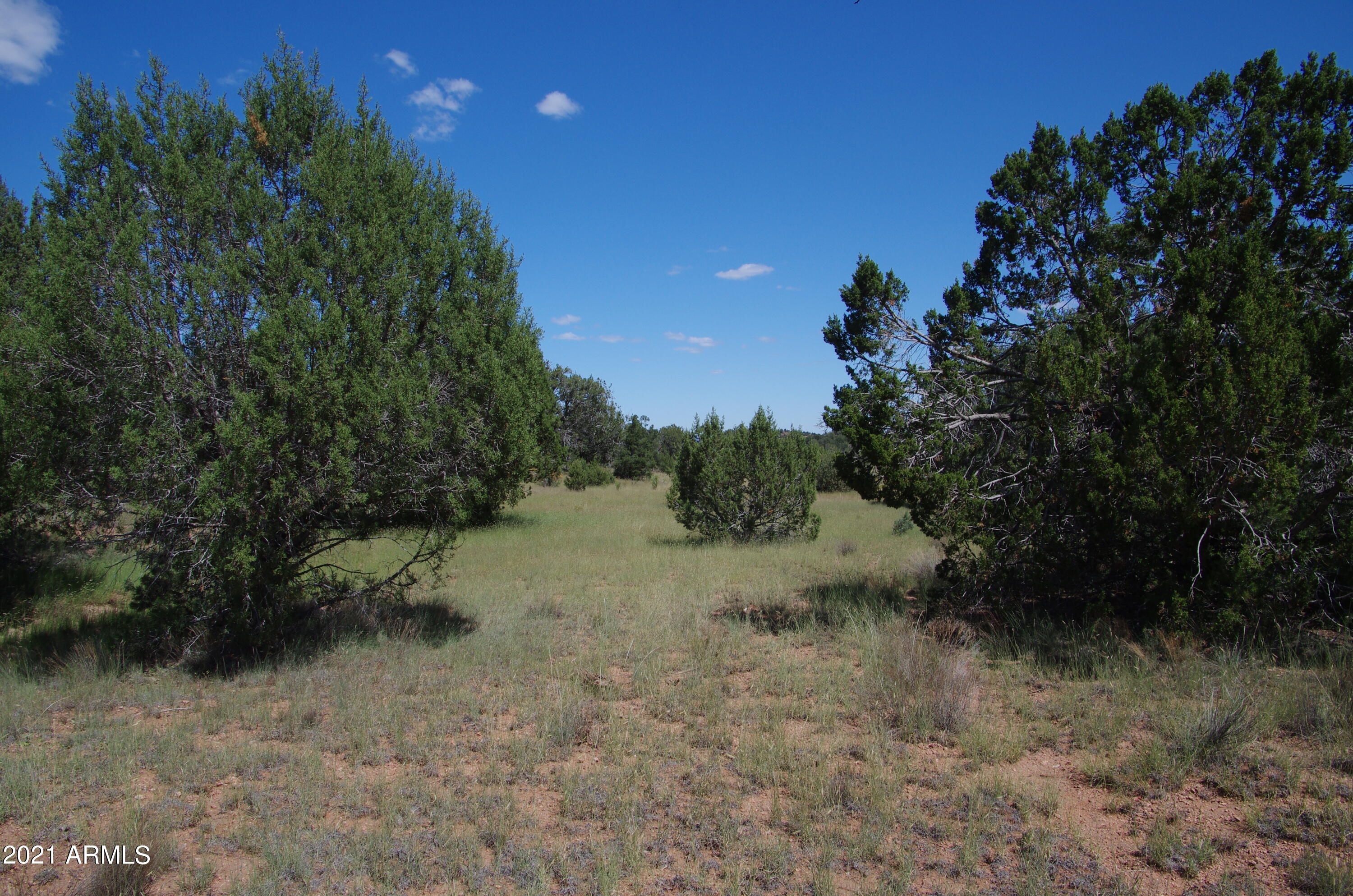 143 Antelope Run Road Seligman, AZ 86337 - Photo 13 of 36 143 Antelope Run RD