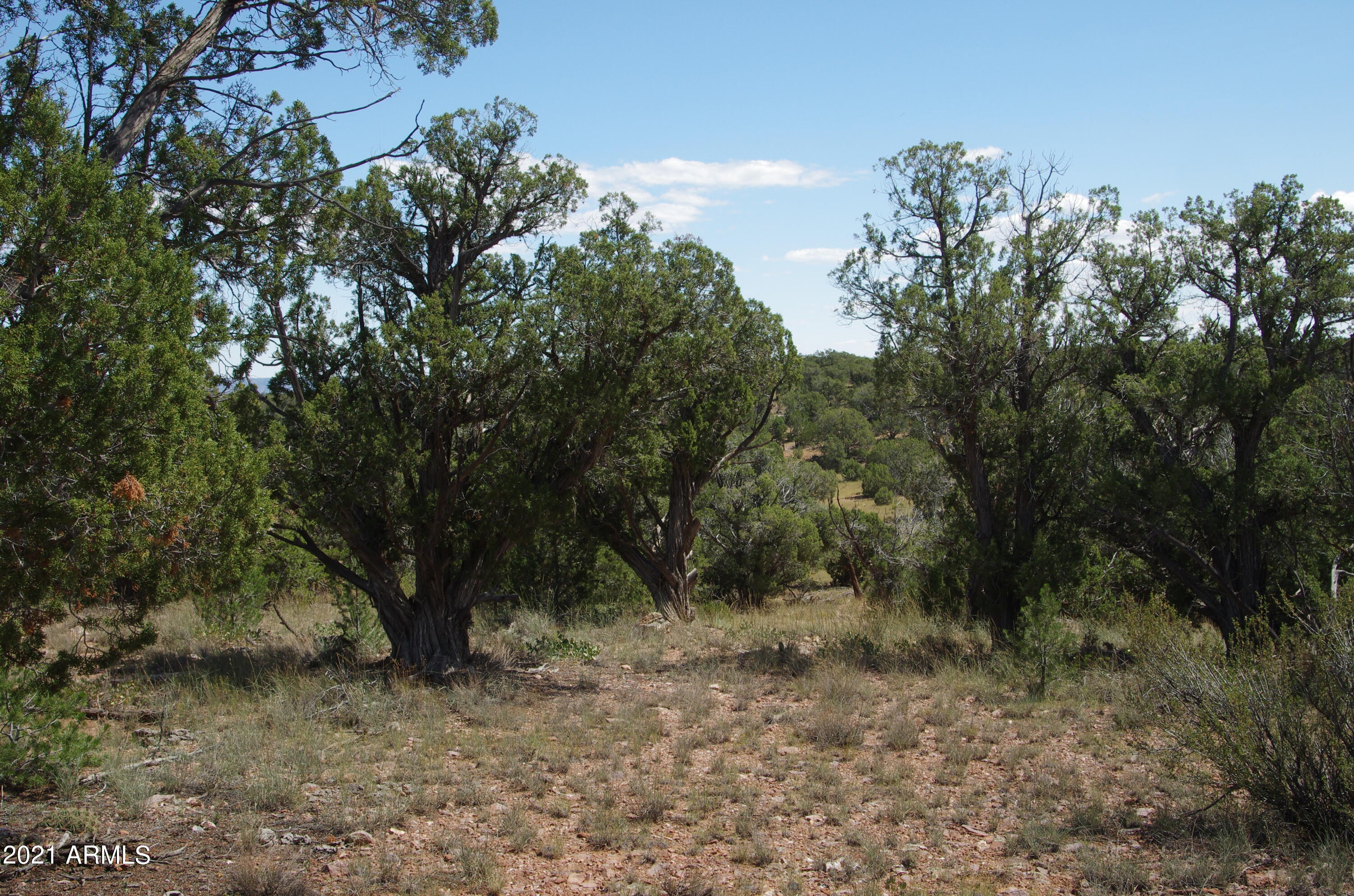 143 Antelope Run Road Seligman, AZ 86337 - Photo 14 of 36 143 Antelope Run RD