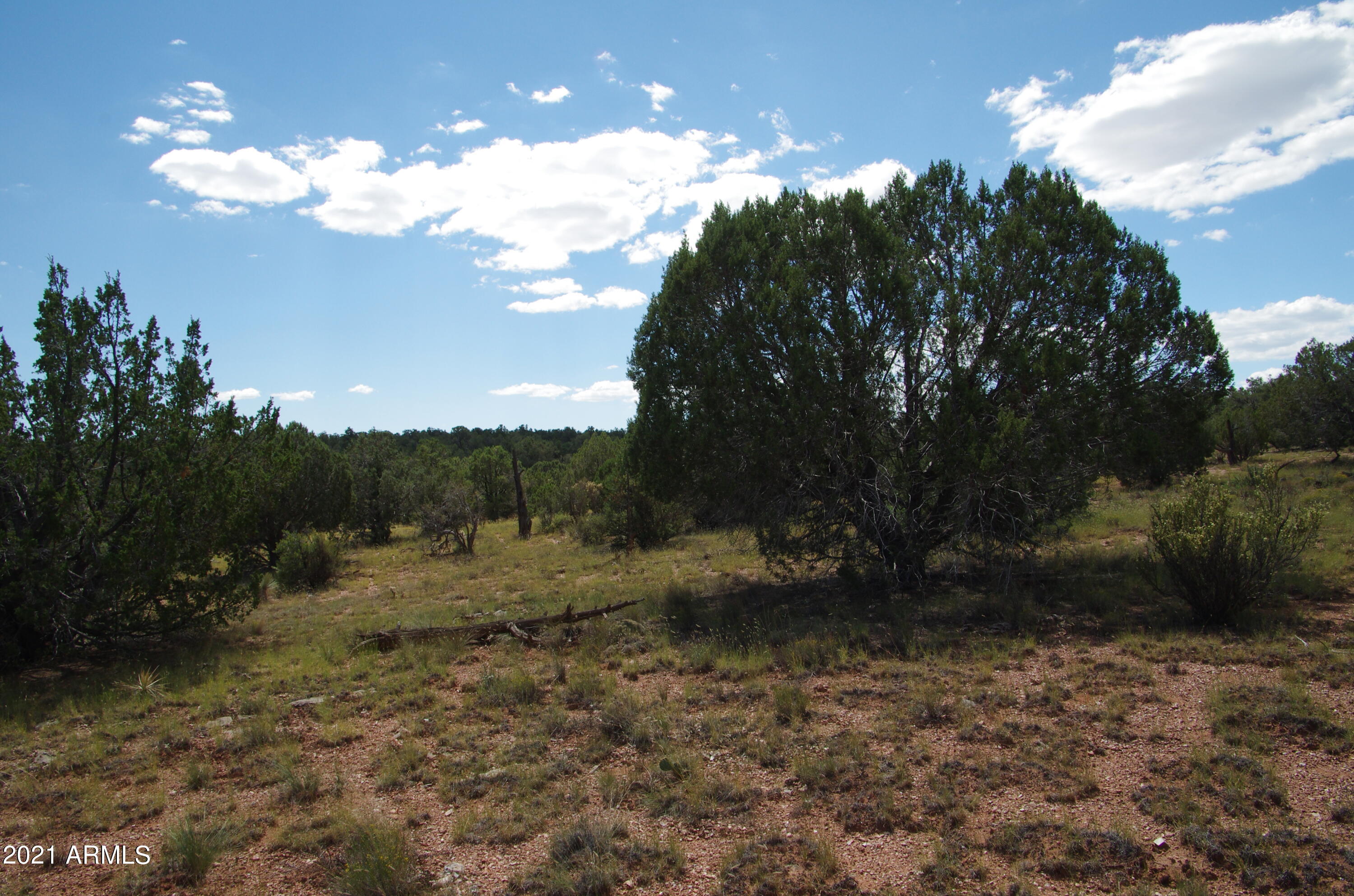 143 Antelope Run Road Seligman, AZ 86337 - Photo 19 of 36 143 Antelope Run RD