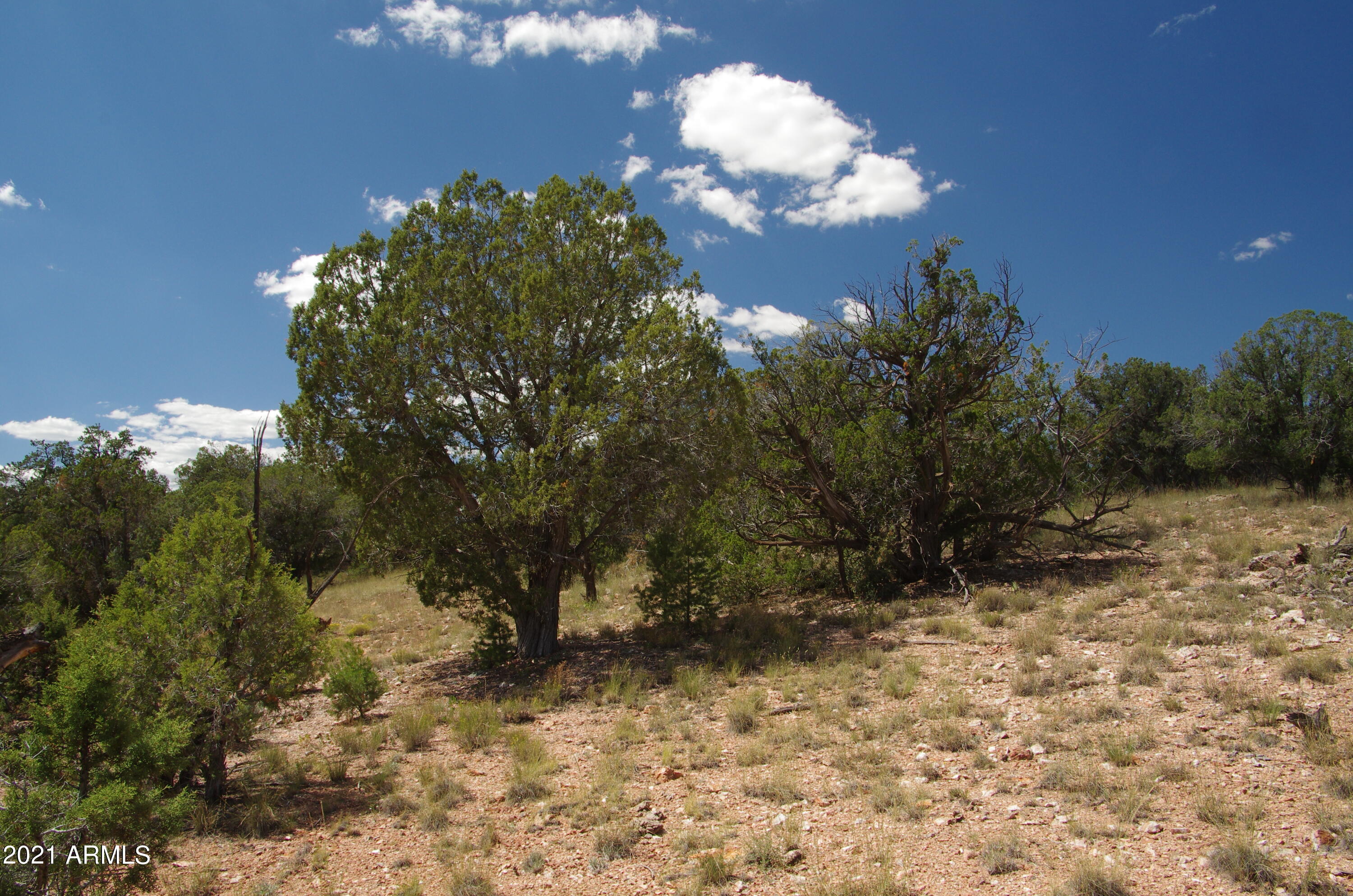 143 Antelope Run Road Seligman, AZ 86337 - Photo 26 of 36 143 Antelope Run RD