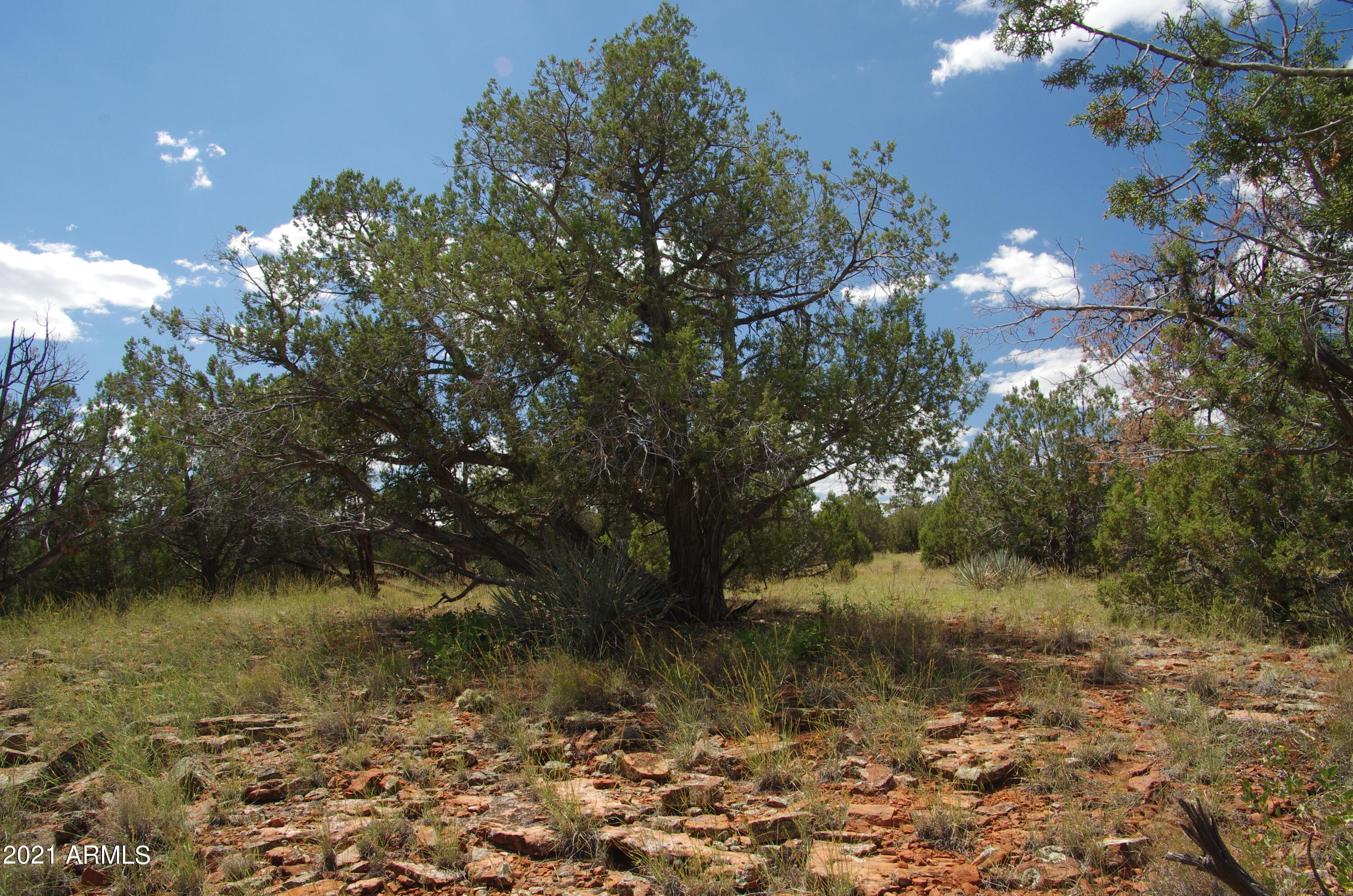 143 Antelope Run Road Seligman, AZ 86337 - Photo 28 of 36 143 Antelope Run RD