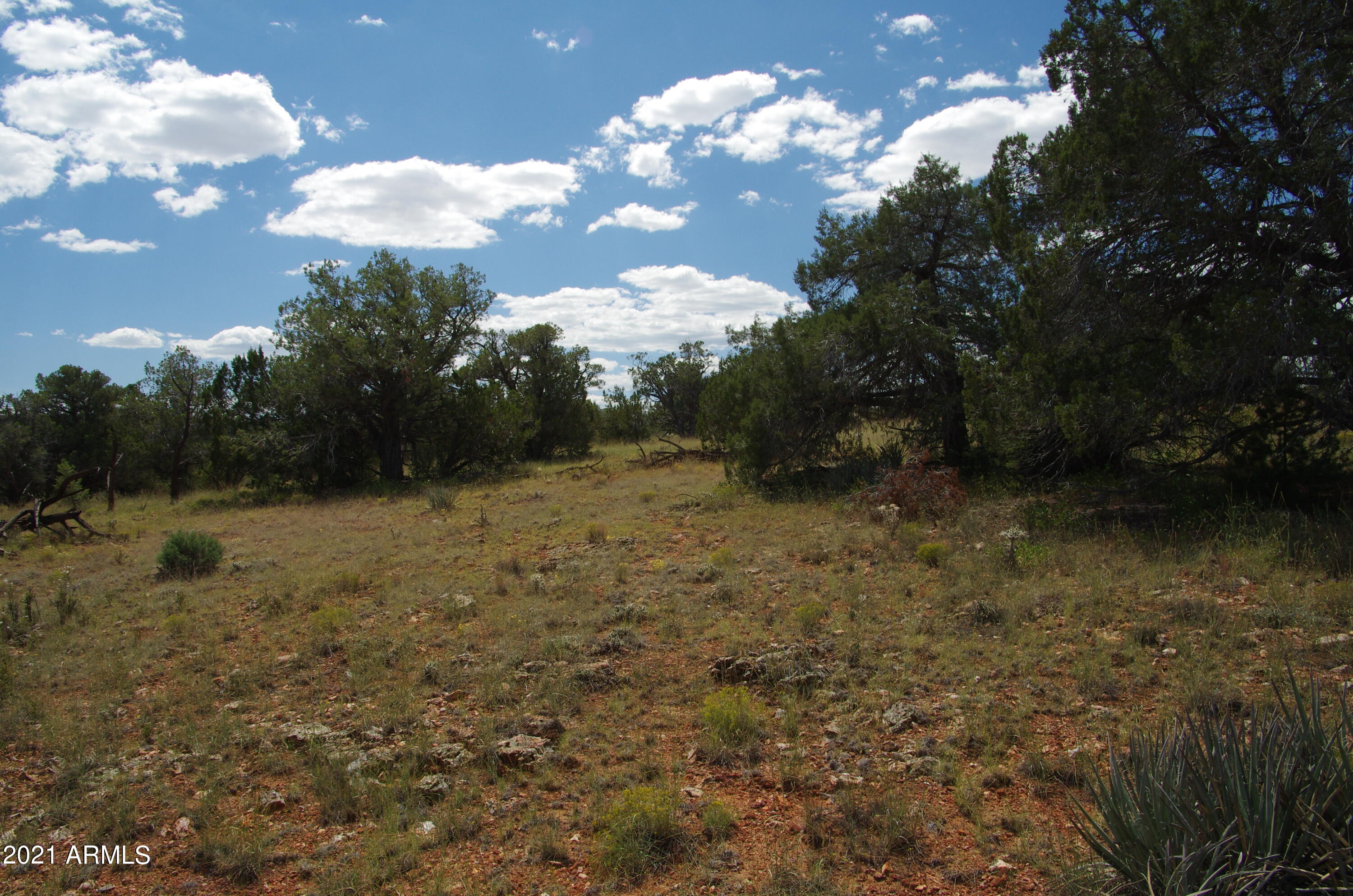 143 Antelope Run Road Seligman, AZ 86337 - Photo 29 of 36 143 Antelope Run RD