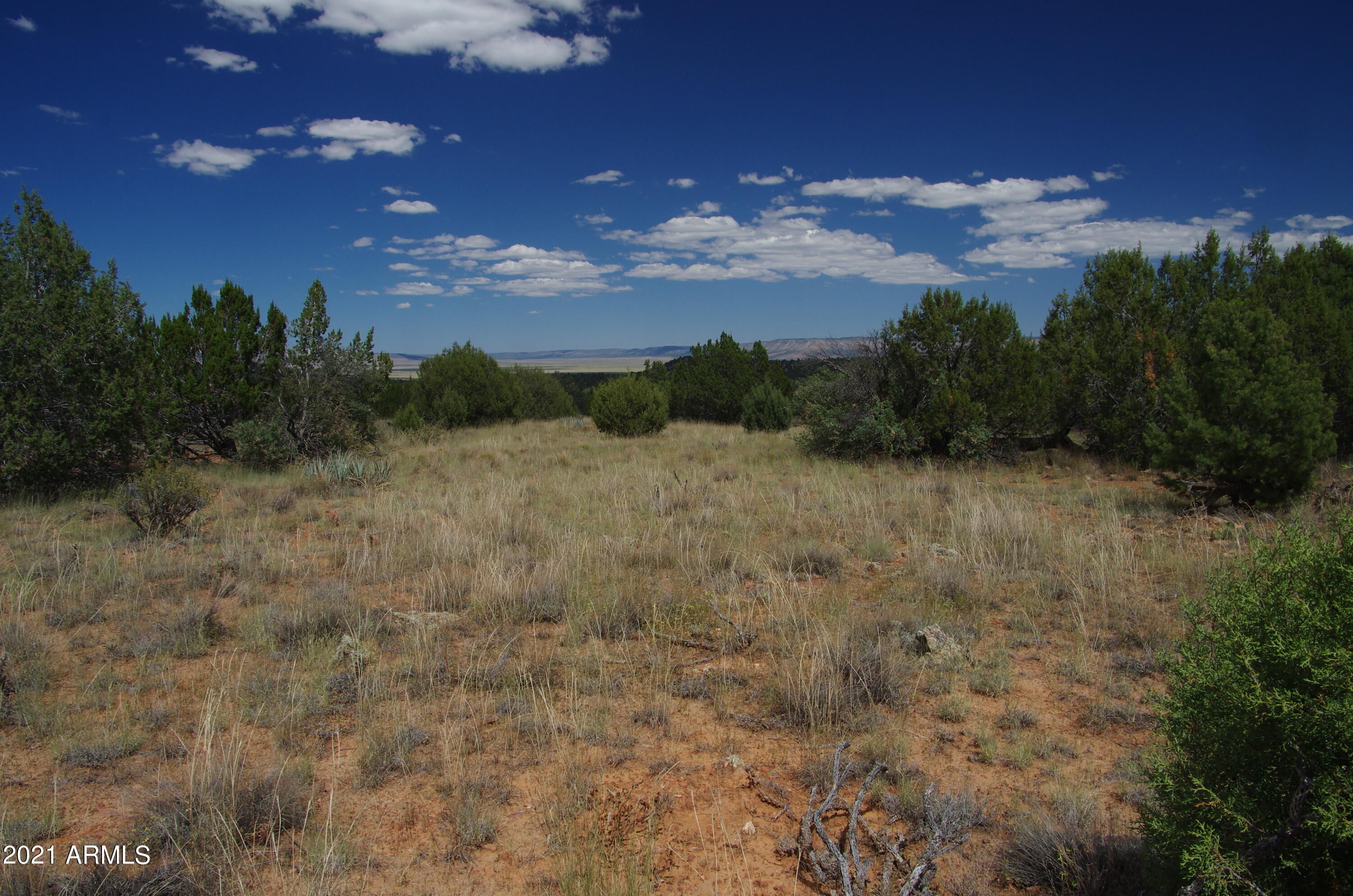 143 Antelope Run Road Seligman, AZ 86337 - Photo 35 of 36 143 Antelope Run RD