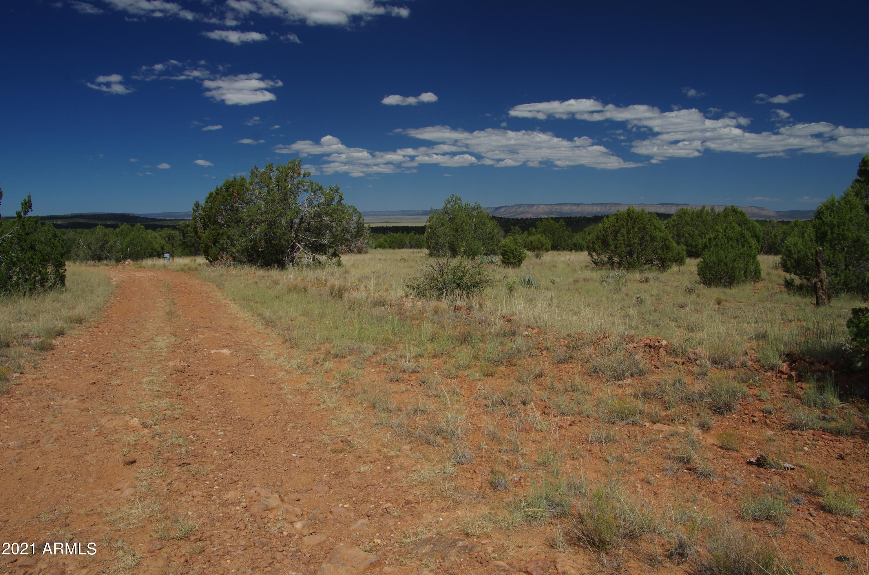 143 Antelope Run Road Seligman, AZ 86337 - Photo 6 of 36 143 Antelope Run RD