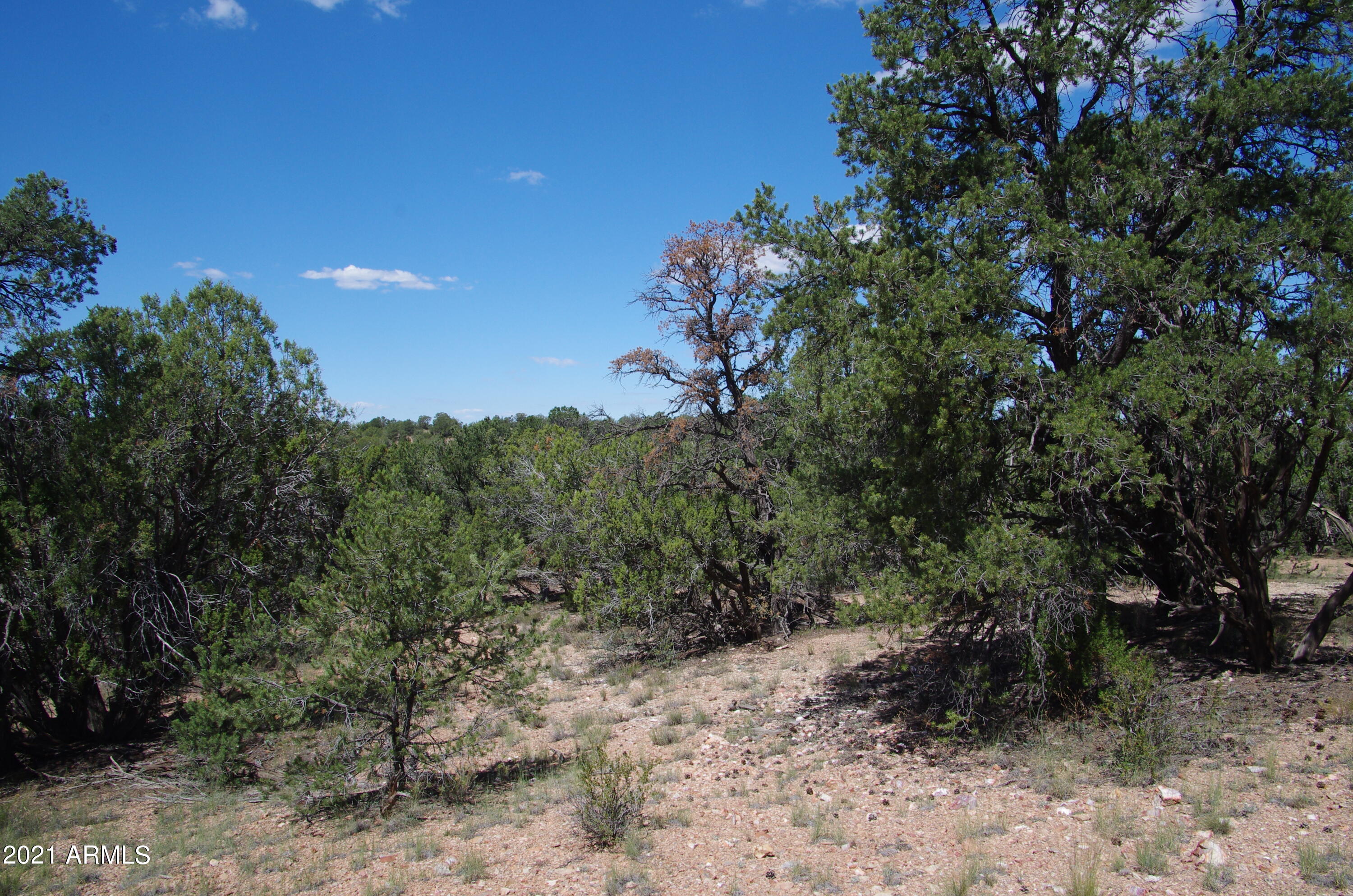 143 Antelope Run Road Seligman, AZ 86337 - Photo 8 of 36 143 Antelope Run RD