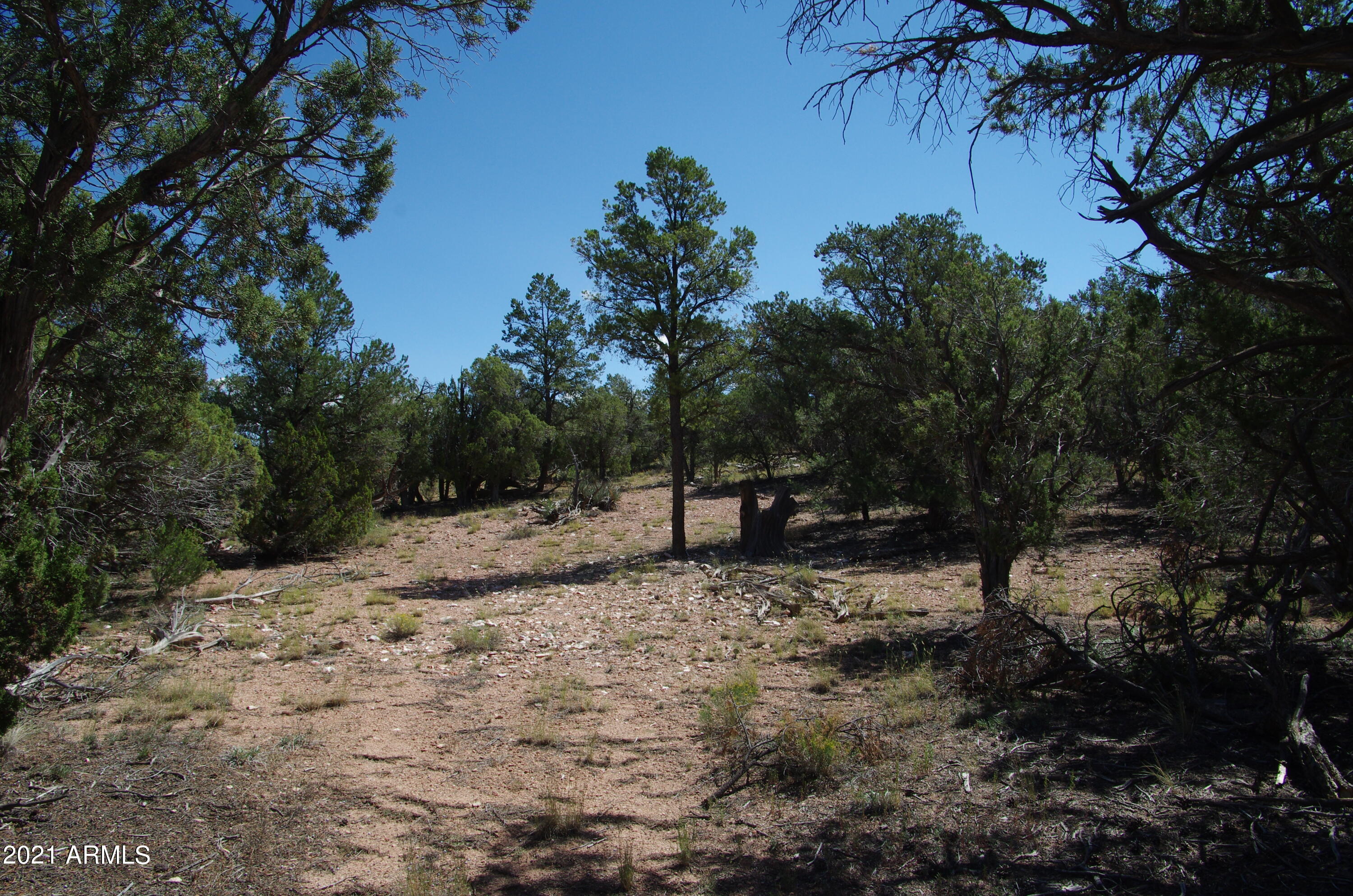 143 Antelope Run Road Seligman, AZ 86337 - Photo 9 of 36 143 Antelope Run RD