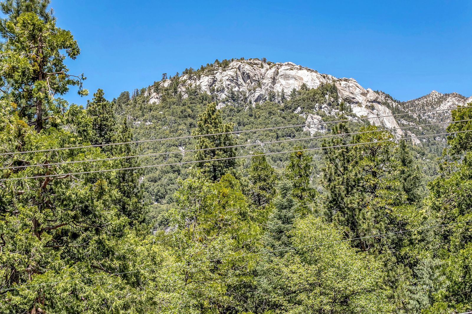 24924 Fern Valley Road Idyllwild, CA 92549 - Photo 43 of 72 a big yard with lots of bushes