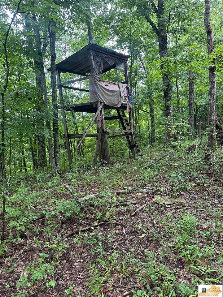 Ac Elbow Bend Road Tompkinsville, KY 42167 - Photo 5 of 12 Gallery Image 5