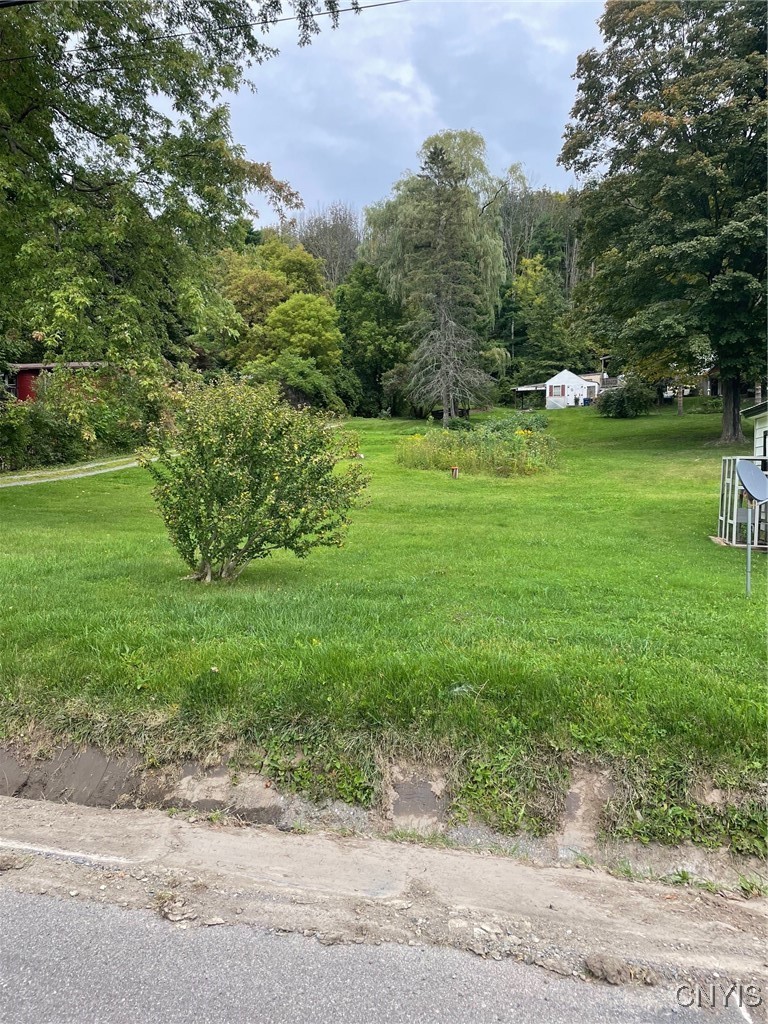 1620 Otisco Valley Road Otisco, NY 13110 - Photo 14 of 16 open side yard