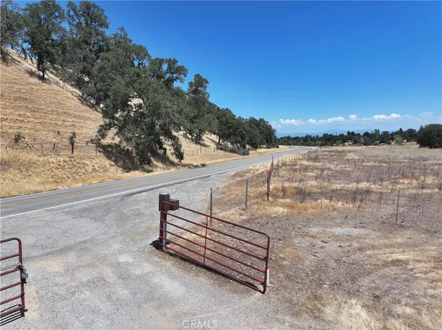 a view of a road with trees