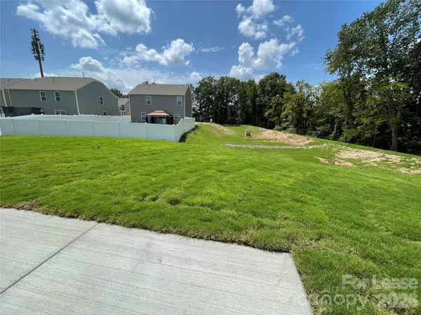 a view of a big yard with potted plants and large trees