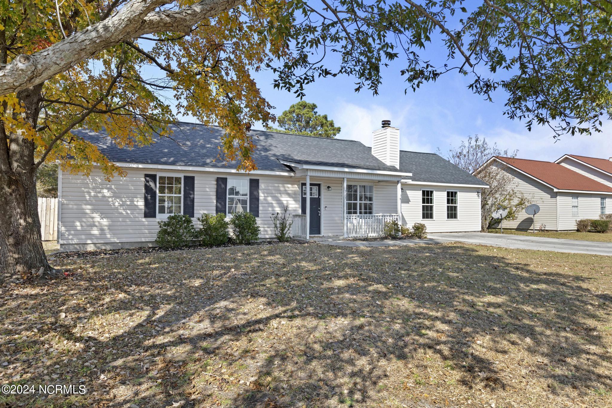 313 Foxtrace Lane Hubert, NC 28539 - Photo 3 of 26 3