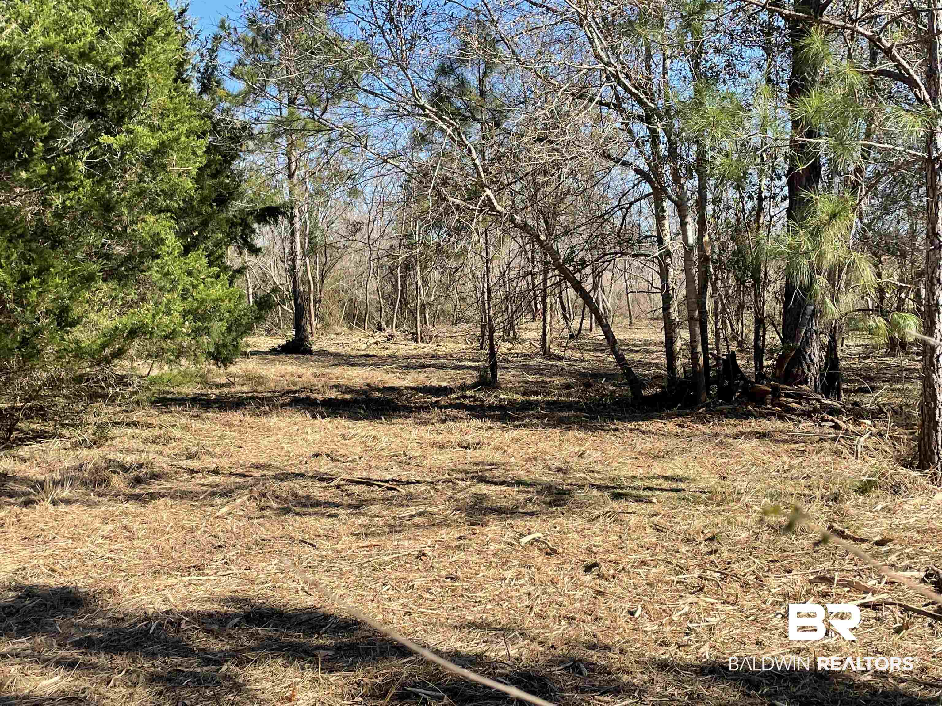 0 Makaira Drive Foley, AL 36535 - Photo 22 of 33