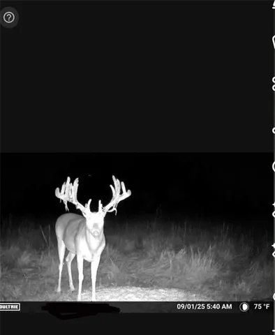 $230,000 | 14624 Marion Road, Fredonia, KS 66736