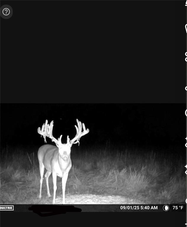 14624 Marion Road Fredonia, KS 66736 - Photo 6 of 77