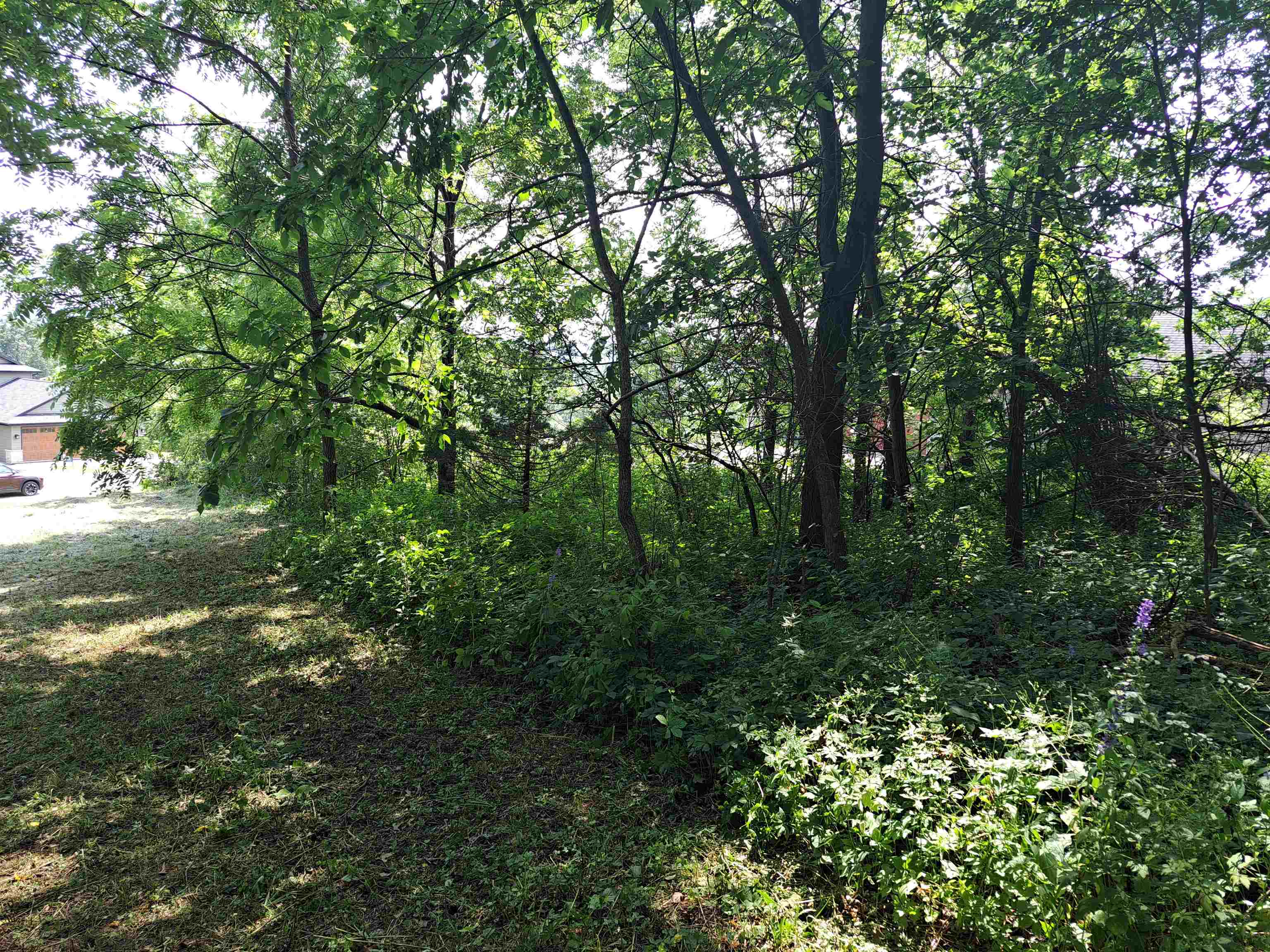 12 Saddleback Road Galena, IL 61036 - Photo 11 of 14 a view of a lush green forest