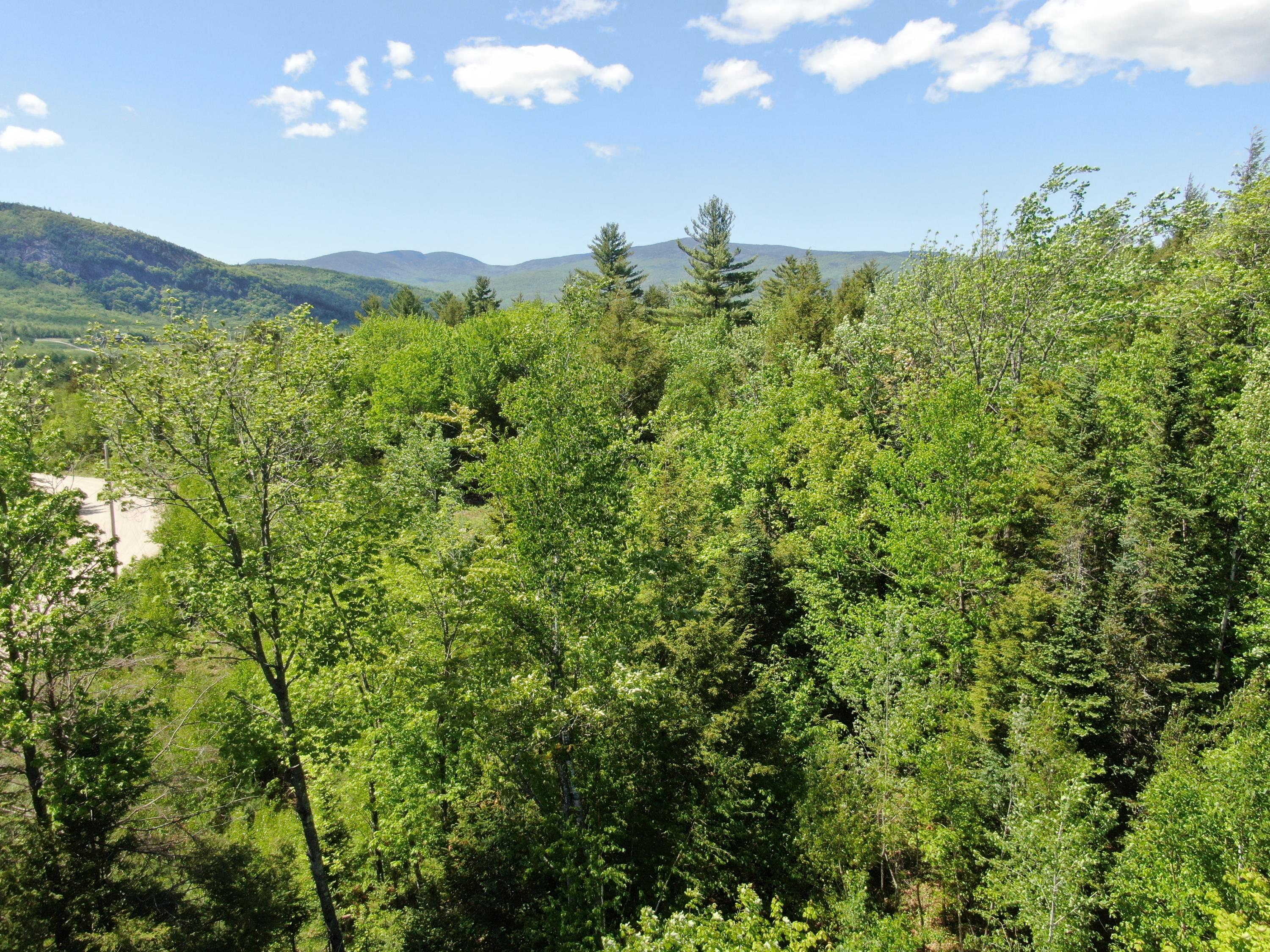 Lot 3 Thundersnow Road Bethel, ME 04217 - Photo 11 of 13 DJI_0509
