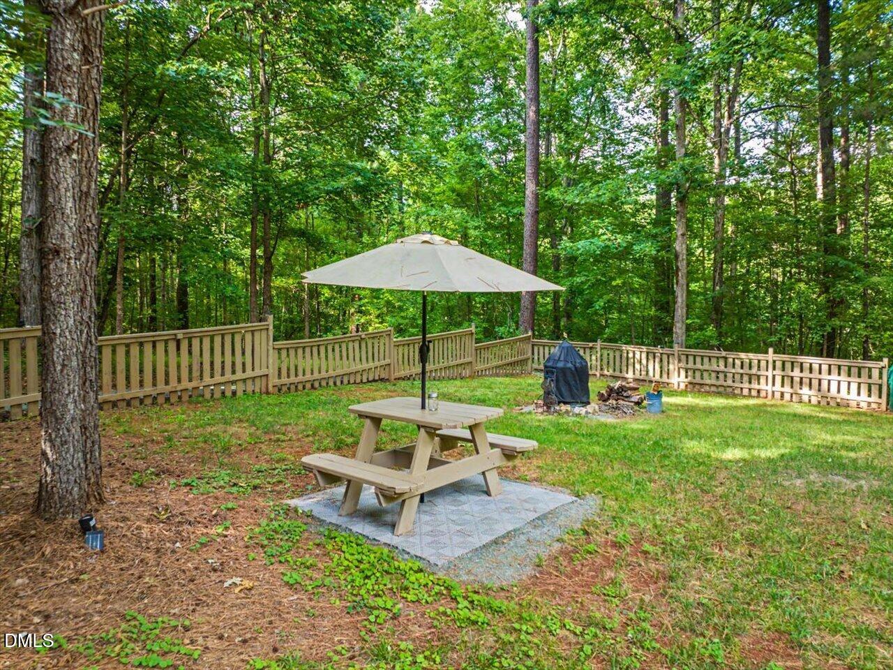 275 Mill Stone Road Moncure, NC 27559 - Photo 79 of 91 Picnic Area