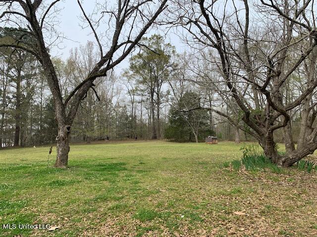 747 Pennebaker Road Vicksburg, MS 39183 - Photo 50 of 56 IMG_9537