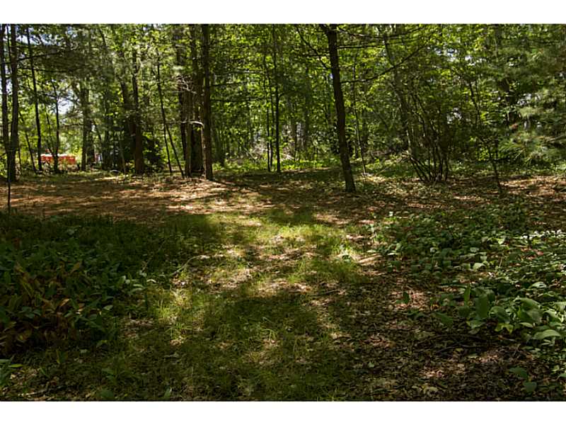 10 Diamond Hill Road Hopkinton, RI 02808 - Photo 7 of 25 Yard/Garden.