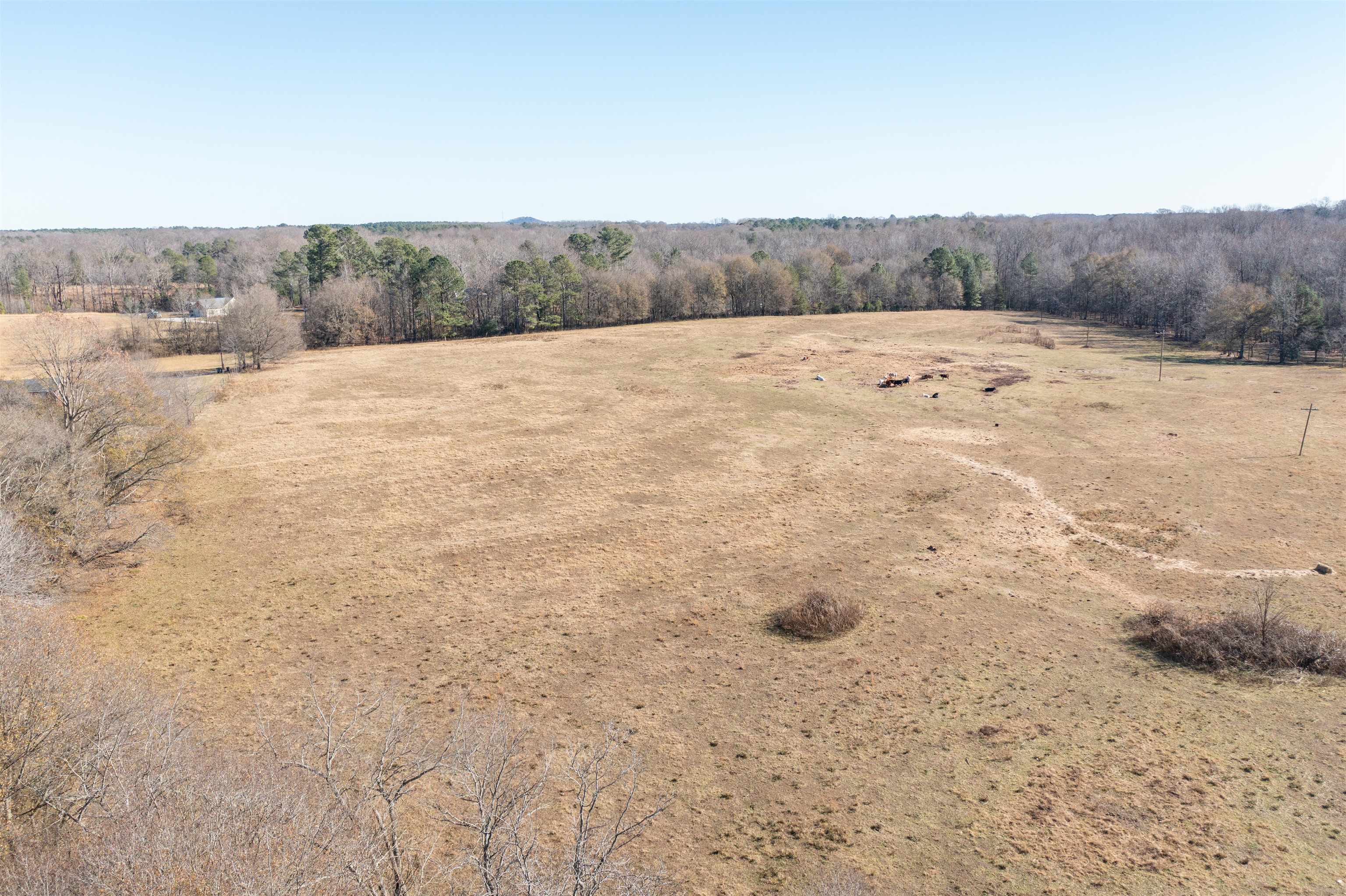 1 Woods Farm Road Chesnee, SC 29323 - Photo 3 of 8 Gallery Image 3