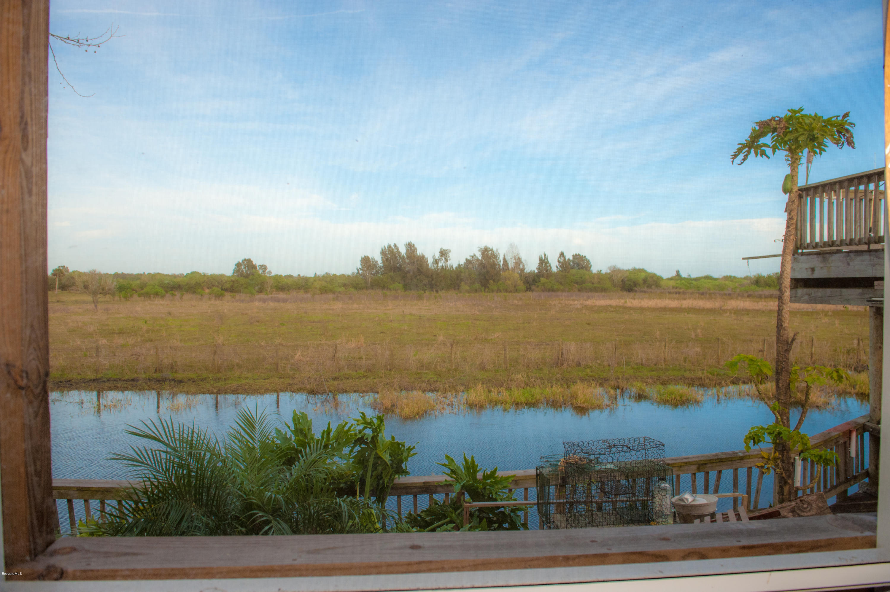 805 Mallard Road Cocoa, FL 32926 - Photo 7 of 18 View from Screened Porch-1