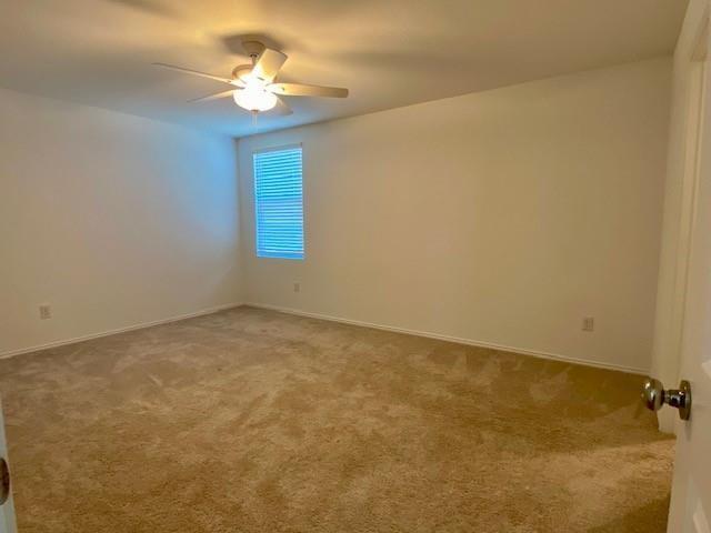 3232 Peyton Lila Road Dallas, TX 75212 - Photo 11 of 17