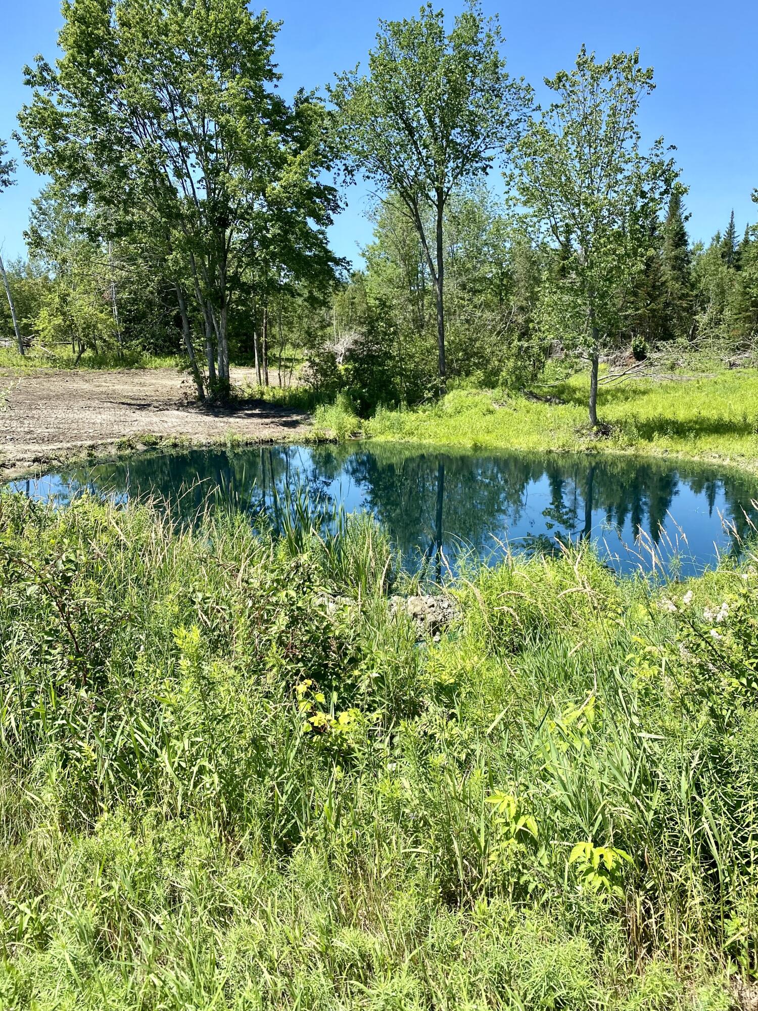 178 Potter Road Hudson, ME 04449 - Photo 17 of 54 Pond