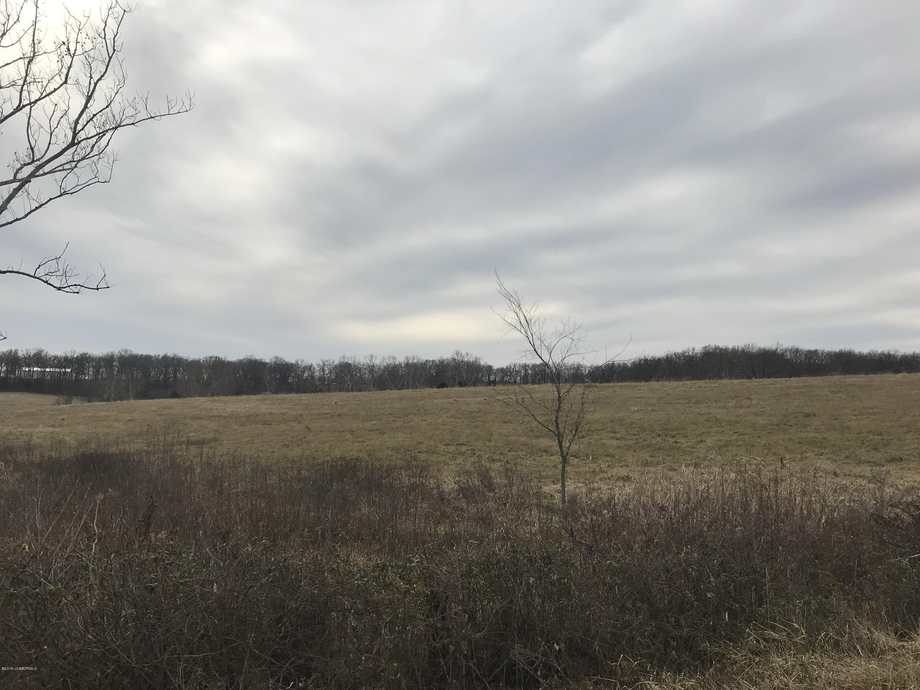 Tbd County Line Road Russellville, MO 65074 - Photo 1 of 4
