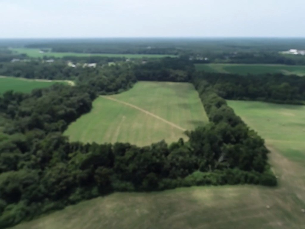 76.47-ac Eddins Road Dothan, AL 36301 - Photo 44 of 44