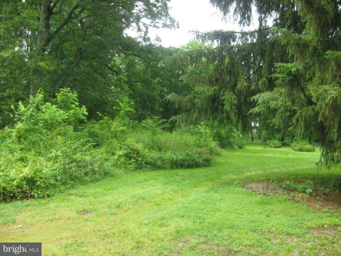 718 Senseny Road Berryville, VA 22611 - Photo 15 of 25 Front Yard