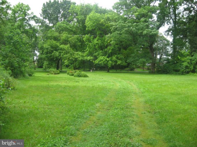 718 Senseny Road Berryville, VA 22611 - Photo 17 of 25 Yard to Road