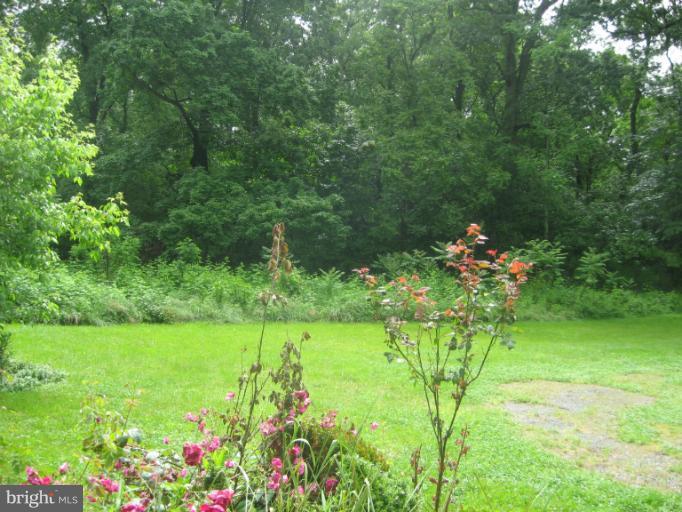 718 Senseny Road Berryville, VA 22611 - Photo 23 of 25 Front Yard