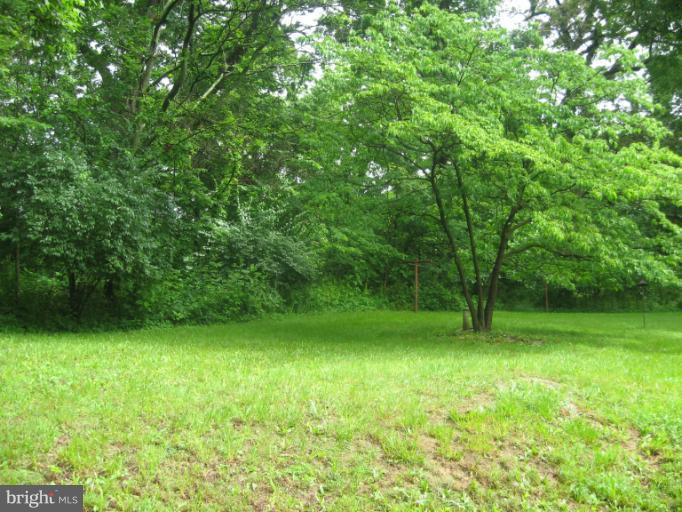 718 Senseny Road Berryville, VA 22611 - Photo 24 of 25 Backyard