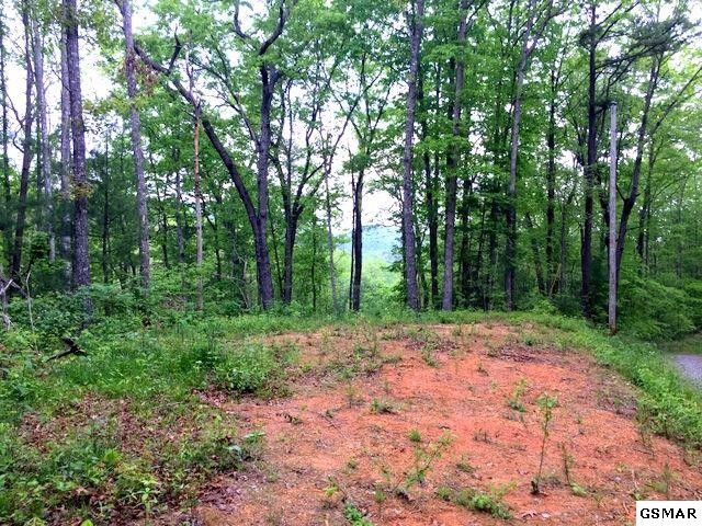 5 Journeys End Road Walland, TN 37886 - Photo 7 of 17 Gallery Image 7