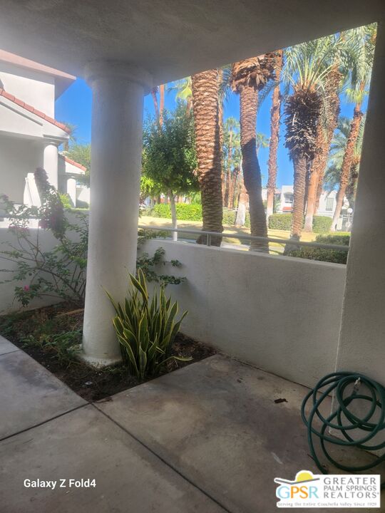 401 El Cielo Road, Unit 93 Palm Springs, CA 92262 - Photo 11 of 17 a view of a potted plant with a tree