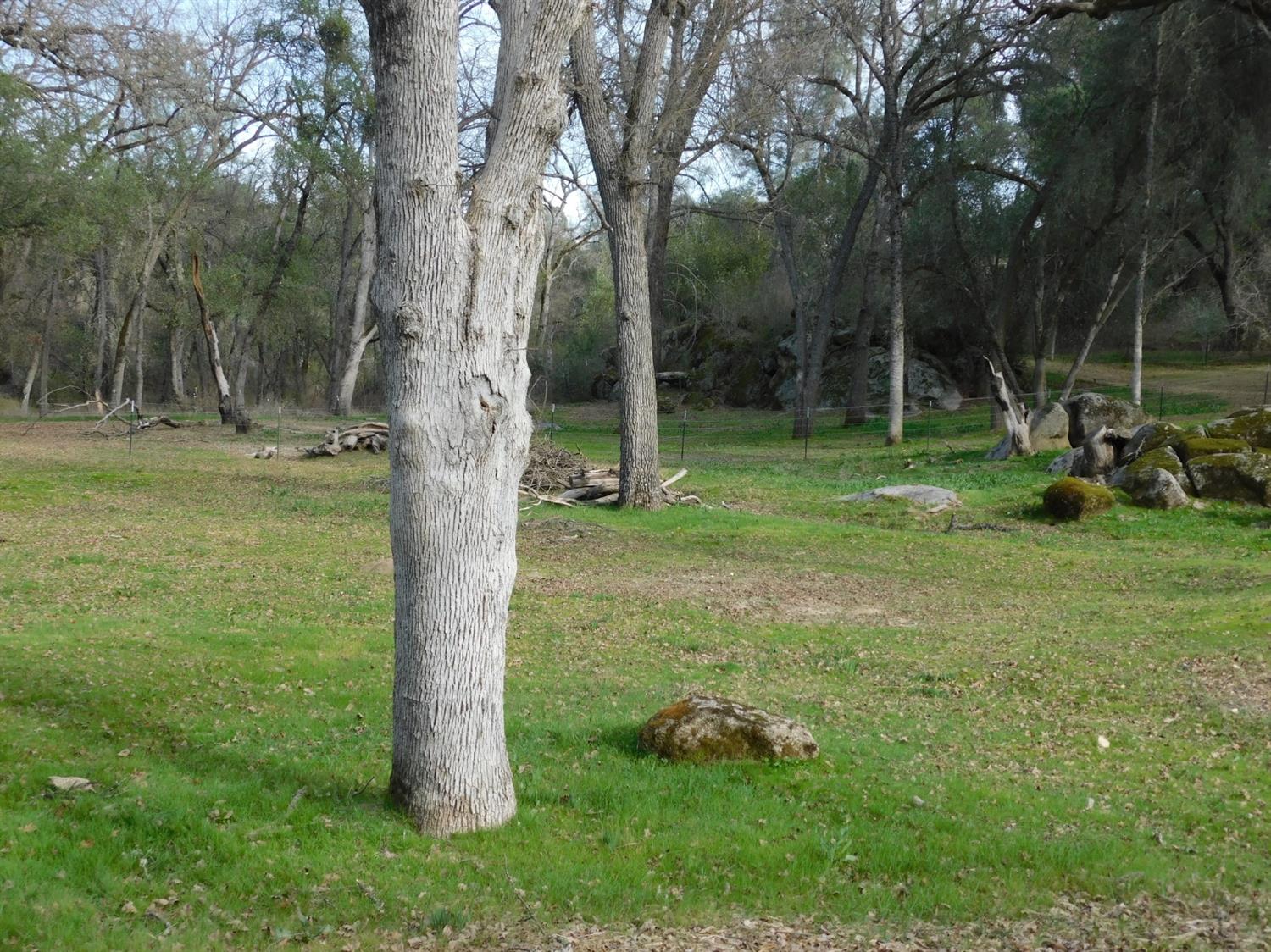 4252 Ashworth Road Mariposa, CA 95338 - Photo 3 of 50 Gallery Image 3