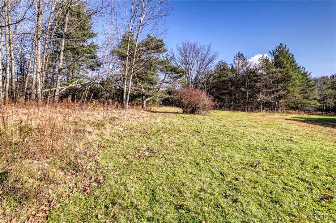 1618 East Hill Road Lyndon, NY 14737 - Photo 8 of 46