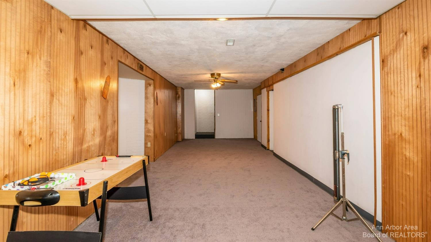 3450 West Albain Road Monroe, MI 48161 - Photo 41 of 64 Basement family room/media room area