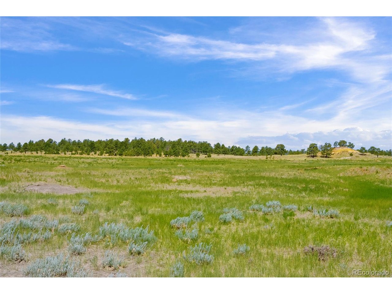 77 County Road Calhan, CO 80808 - Photo 21 of 27 Gallery Image 21