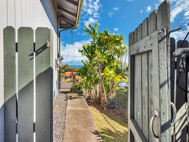 a view of a tree with some tree in front of it