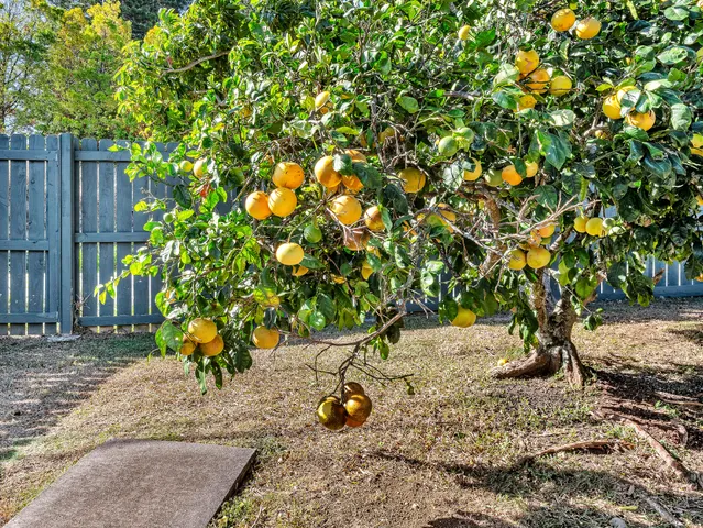 $799,000 | 53-4056 Kolonahe Street, Kapaau, HI 96755